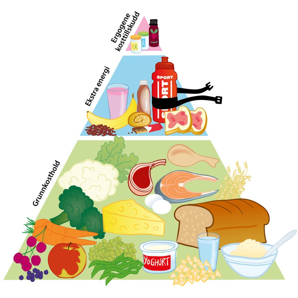 Illustration av näringspyramiden.